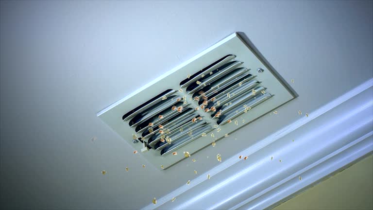 Best Air Duct Cleaning Company Near Me  in Rogers, AR